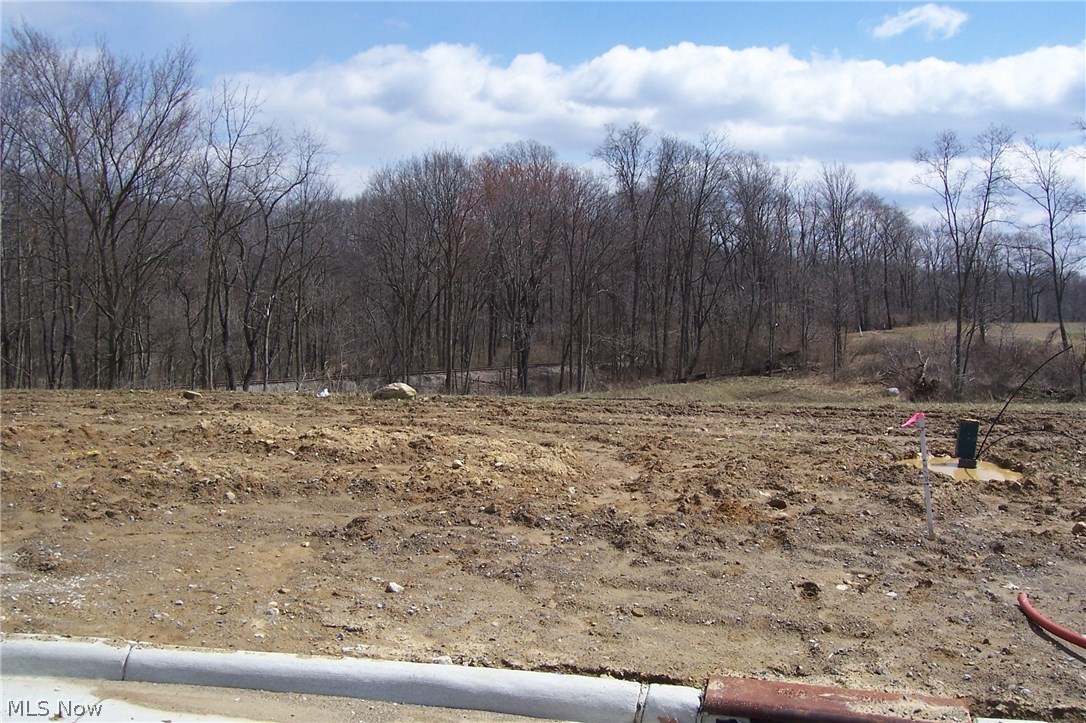 Cedar Run Development - Land