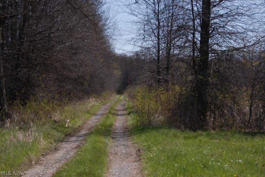 A hidden jewel! Approximately 28 acres of private land to be parceled off from existing property at 760 State Route 225 in Deerfield Township. Back portion wooded with three-acre pond, approximately 20 feet deep. Quiet and peaceful, bordered by state and federal lands.  Perfect for building a very special hideaway. Can also be just right for many different business uses, as Deerfield Township does not have zoning. Can be purchased with a two-story home on 5 more acres, thus greatly increasing the number of possibilities. Lot size and taxes for parcels will be determined at time of sale. Land approximately 28 acres; home on approximately 5 additional acres.