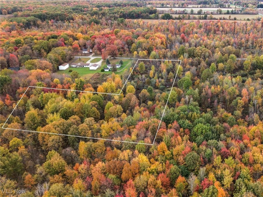 Discover your own private retreat on this 6.32-acre wooded parcel tucked away on a paved road in Fowler Township. A successful perc test was completed in October 2025, making this an ideal site for a future homesite with a septic system. Mineral rights convey with the sale, offering added value and peace of mind. Enjoy mature trees, natural privacy, and the freedom to design your build in a serene rural setting close to local amenities and major routes. Boundary outline shown in photos is approximate, and final acreage is subject to survey approval.