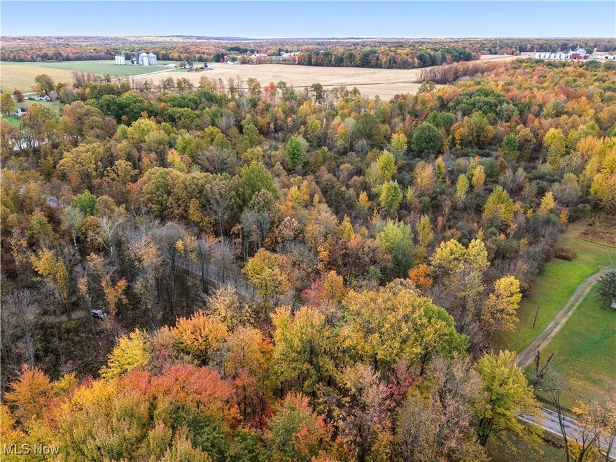 Discover your own private retreat on this 6.32-acre wooded parcel tucked away on a paved road in Fowler Township. A successful perc test was completed in October 2025, making this an ideal site for a future homesite with a septic system. Mineral rights convey with the sale, offering added value and peace of mind. Enjoy mature trees, natural privacy, and the freedom to design your build in a serene rural setting close to local amenities and major routes. Boundary outline shown in photos is approximate, and final acreage is subject to survey approval.