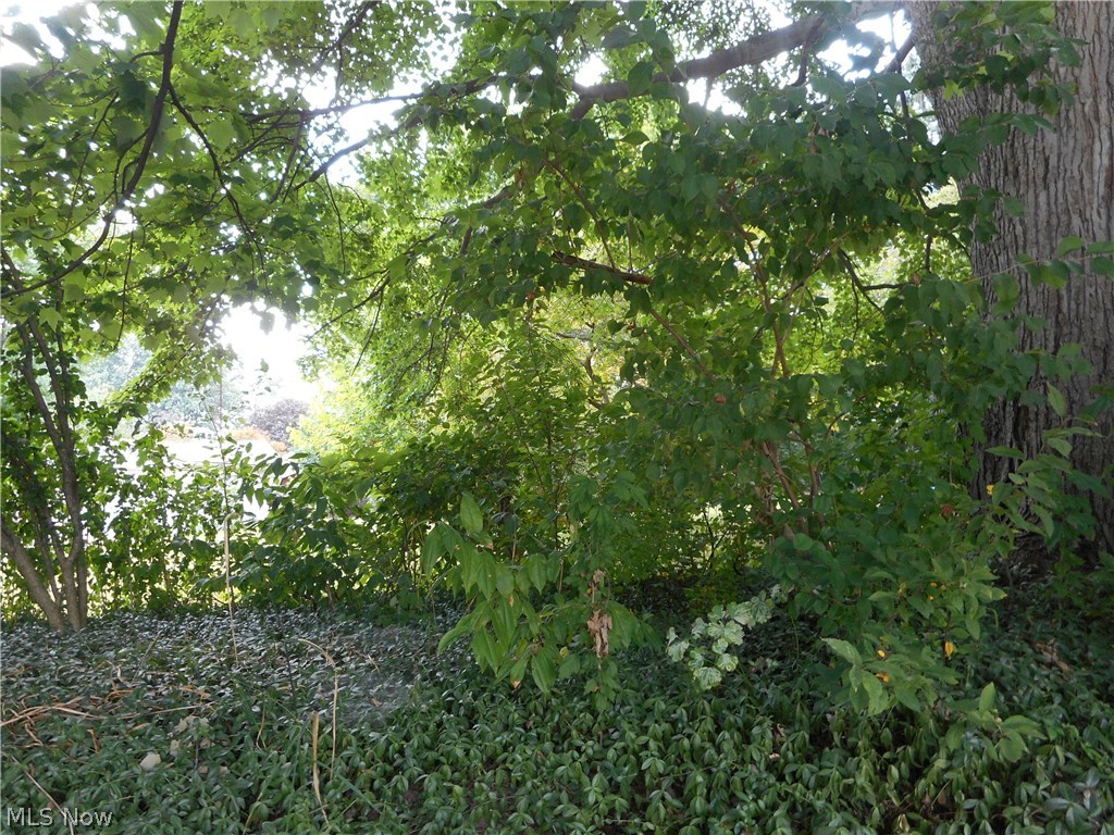Build your dream home, nice residential lot.