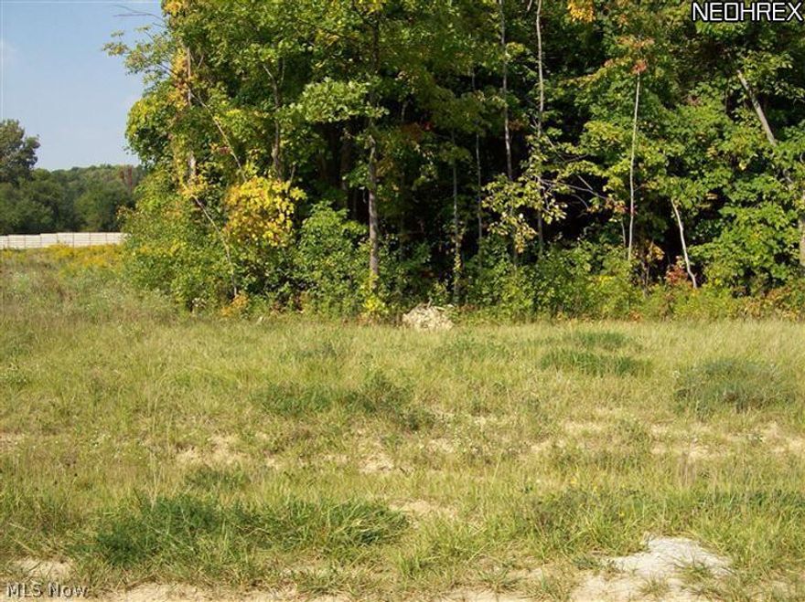 Welcome to Emerald Woods. Absolutely gorgeous new home development with all custom built homes. Only a few home sites left. All utilities available including gas. This home site was sold and the soil test was done and the site review from Medina was also done and approved. Possible to do a walk out basement. Wooded area to nestle your home in the woods and a cleared out area for play areas, pool or extra garage. Owner/Agent.