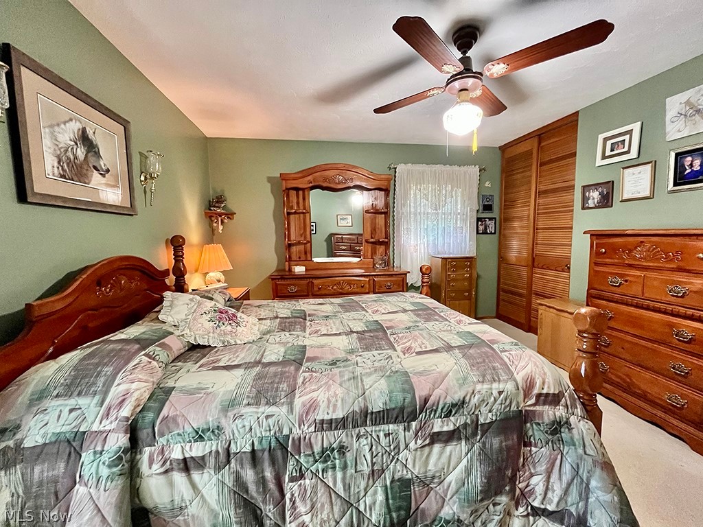 Village/Chippewa Lake - Residential