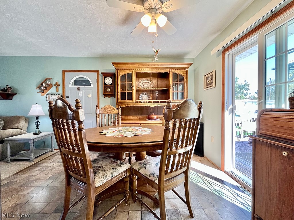 Village/Chippewa Lake - Residential