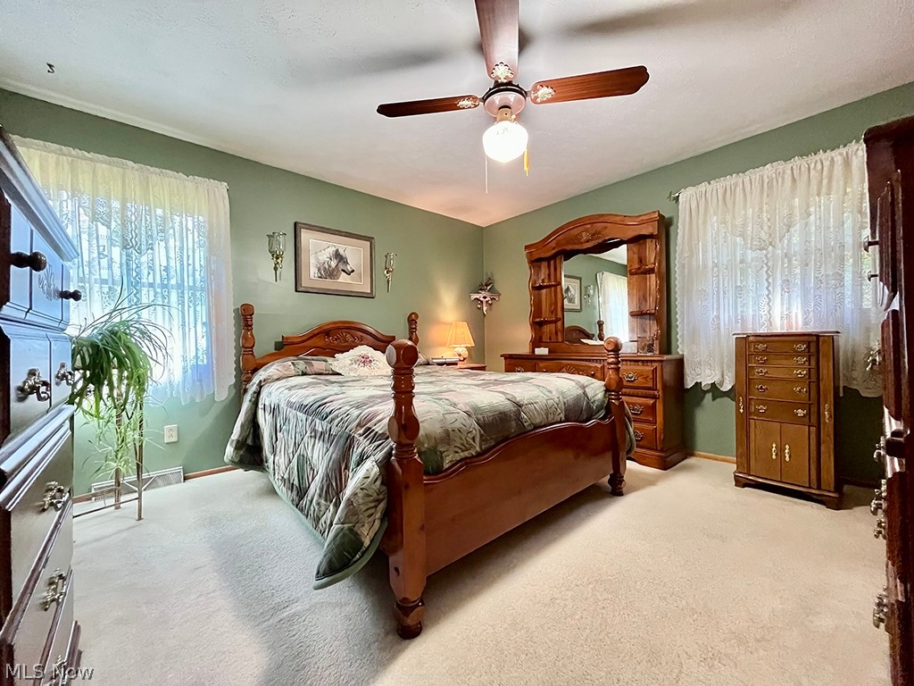 Village/Chippewa Lake - Residential
