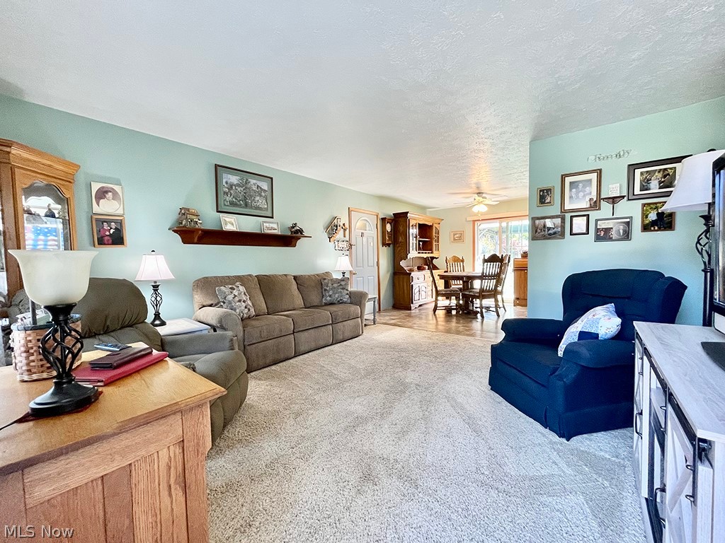 Village/Chippewa Lake - Residential
