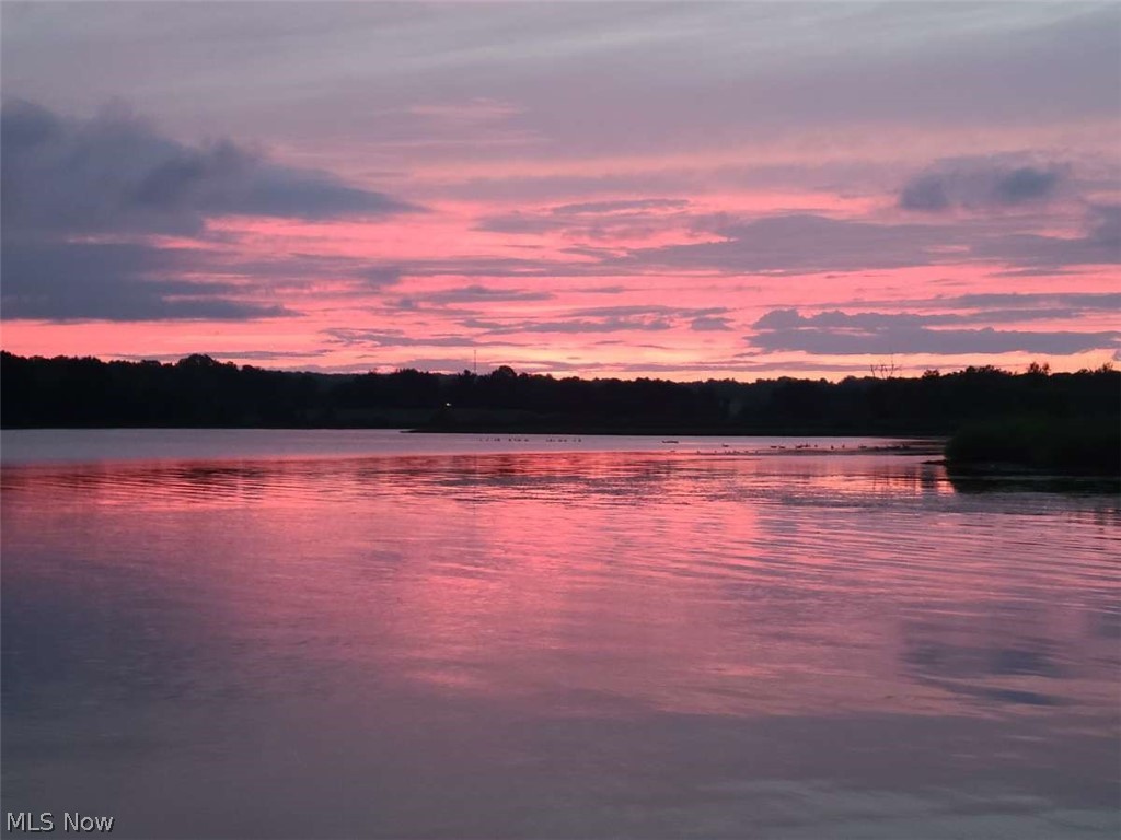 Village/Chippewa Lake - Residential