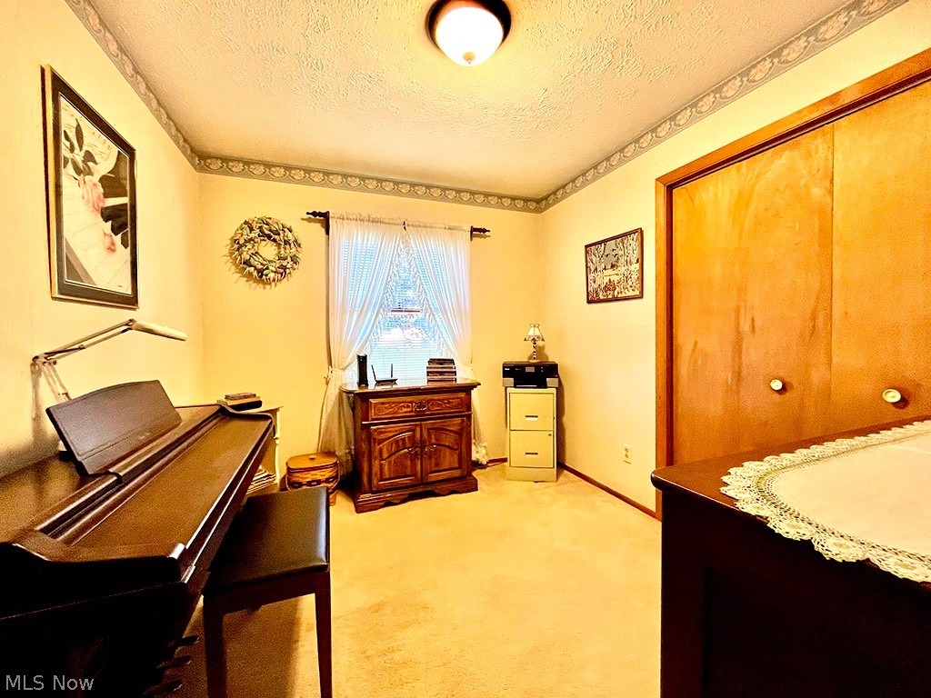 Village/Chippewa Lake - Residential