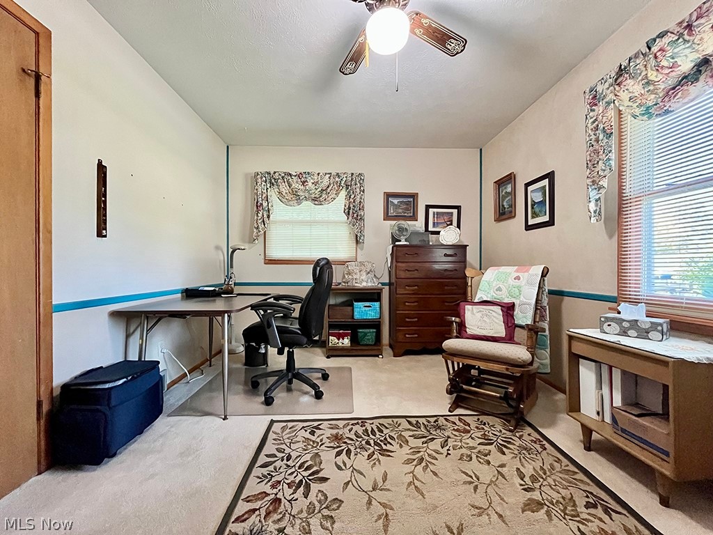 Village/Chippewa Lake - Residential