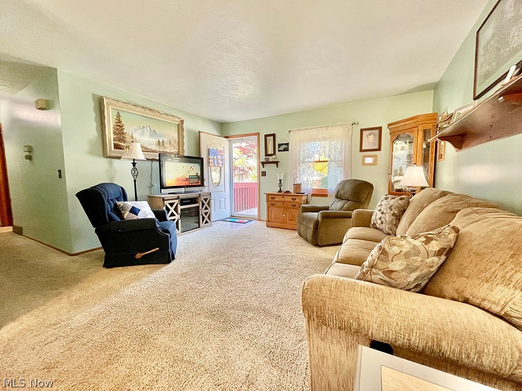 Village/Chippewa Lake - Residential