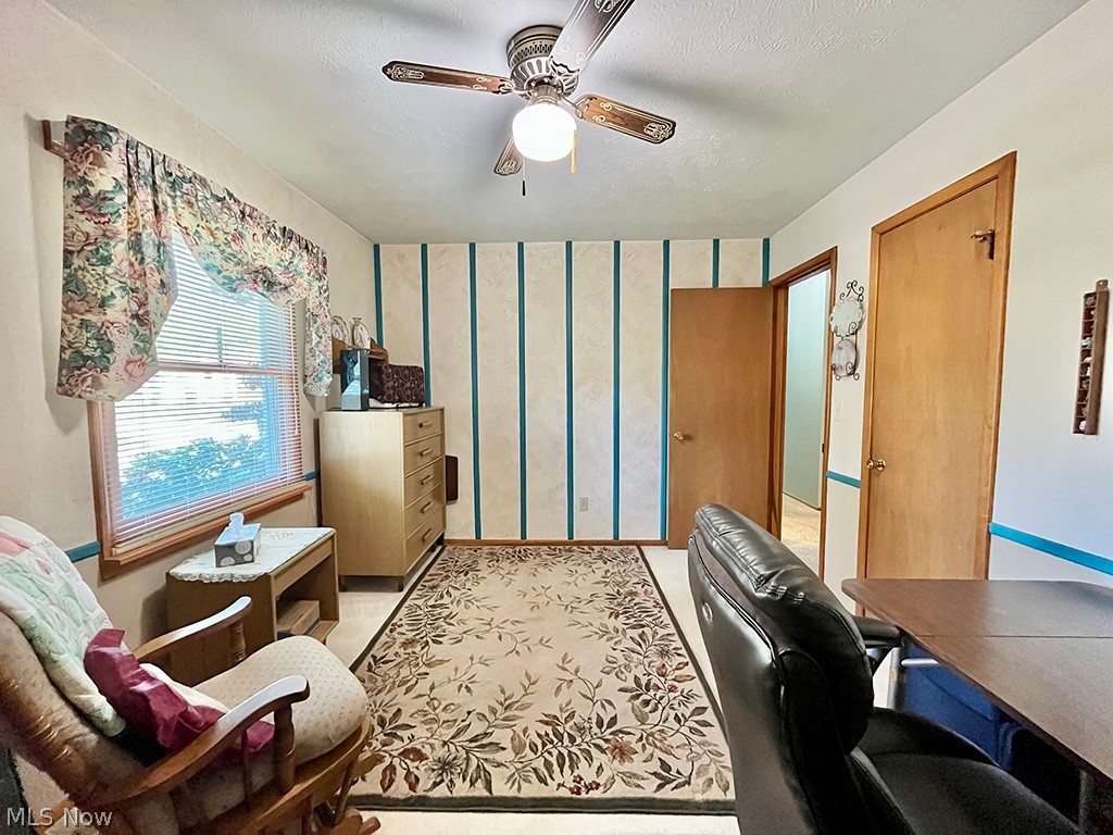 Village/Chippewa Lake - Residential