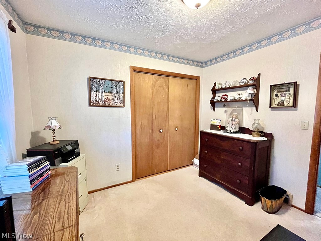 Village/Chippewa Lake - Residential