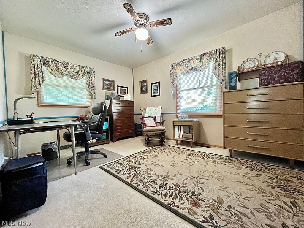 Village/Chippewa Lake - Residential