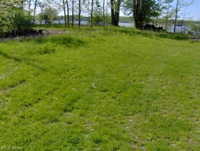 Beautiful Lake Front building lot abutting Lake Milton State Park. 50x147 irregular. Great view of Lake Milton. City water, sewer and gas available. Lake Milton, Ohio's 72nd State Park. Amphitheater, beach, swimming, fishing, boating, walking and jogging trails plus golf, wineries and shopping.