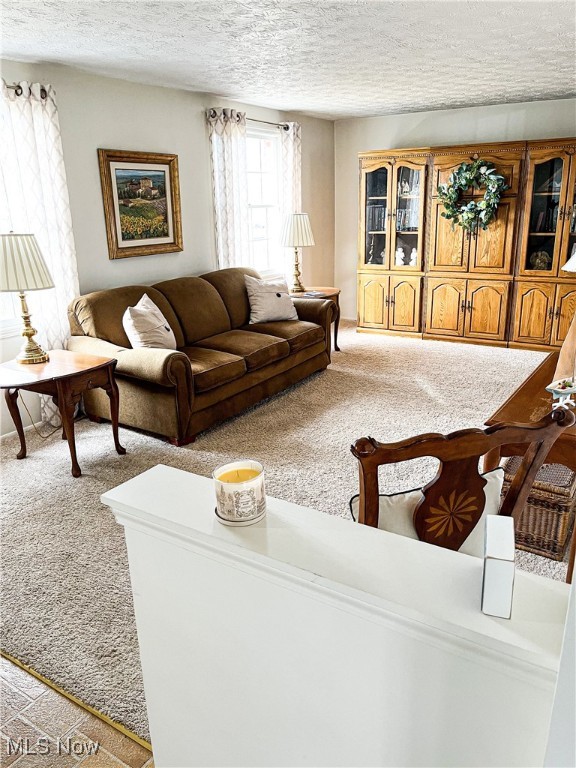 6884 Slippery Rock Drive, Canfield, Ohio image 2