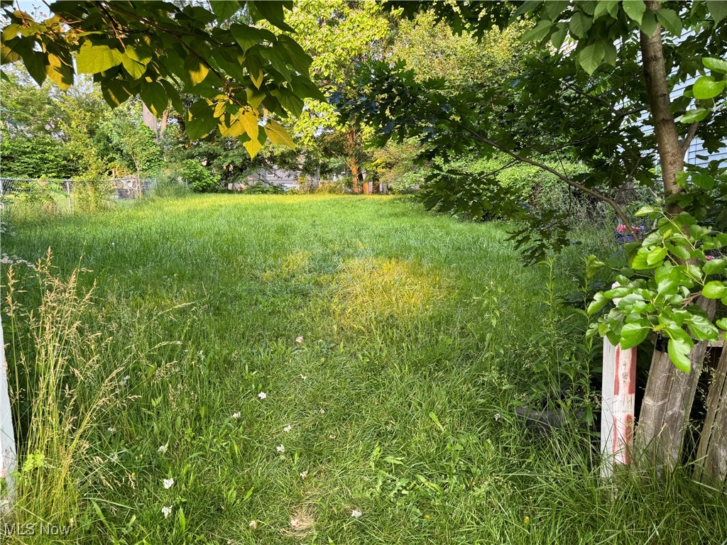 Kenmore Allotment - Land