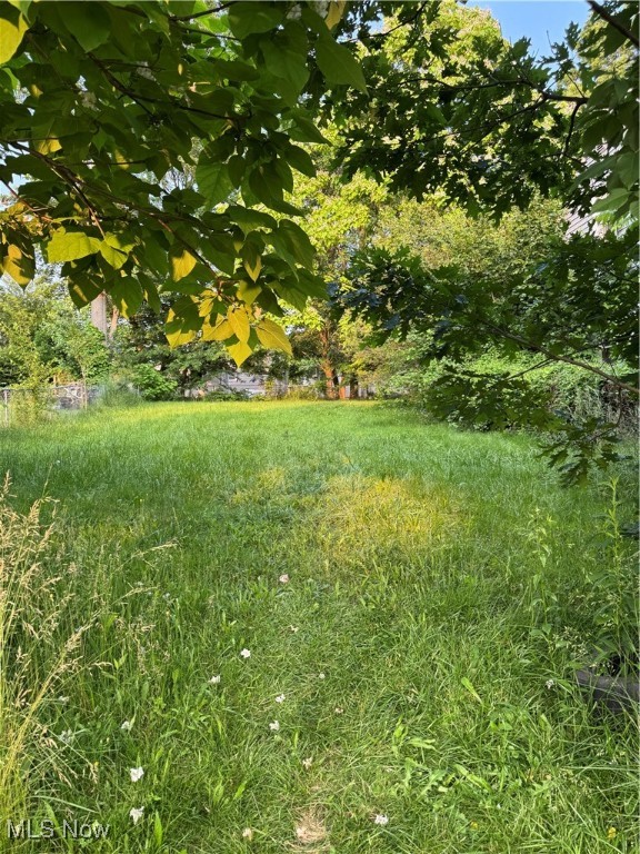 Kenmore Allotment - Land