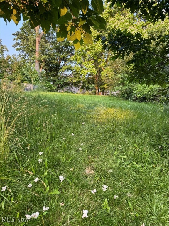 Kenmore Allotment - Land