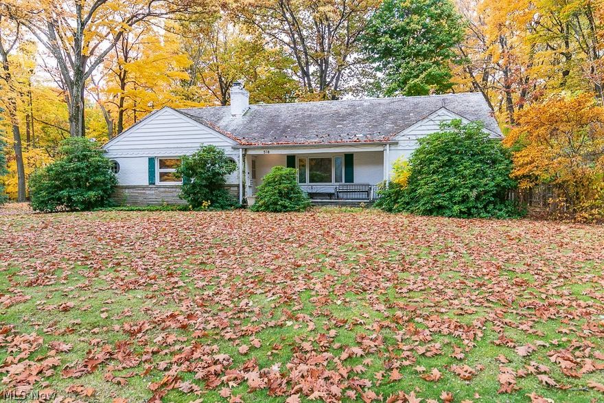 This park-front property is an absolute dream!  Lives like a ranch situated on a quiet dead end street with direct access to the Metroparks! Beautiful hard wood flooring throughout and 2 fireplaces to create the ambiance of your dream home!  All Bedrooms are huge and feature abundant closet space!  Large Rec Room with bar in basement is ideal place to entertain! Sip your morning coffee in the sunroom overlooking the breathtaking views! Incredible opportunity! This is the one! **Parkside/Ammon HOA owns .01 acres just north of this property preventing any development whatsoever.