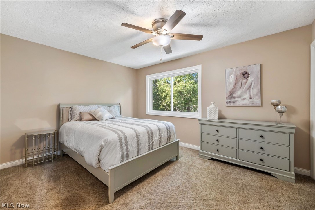 Big Turtle 02 Ph 11-16 - Residential