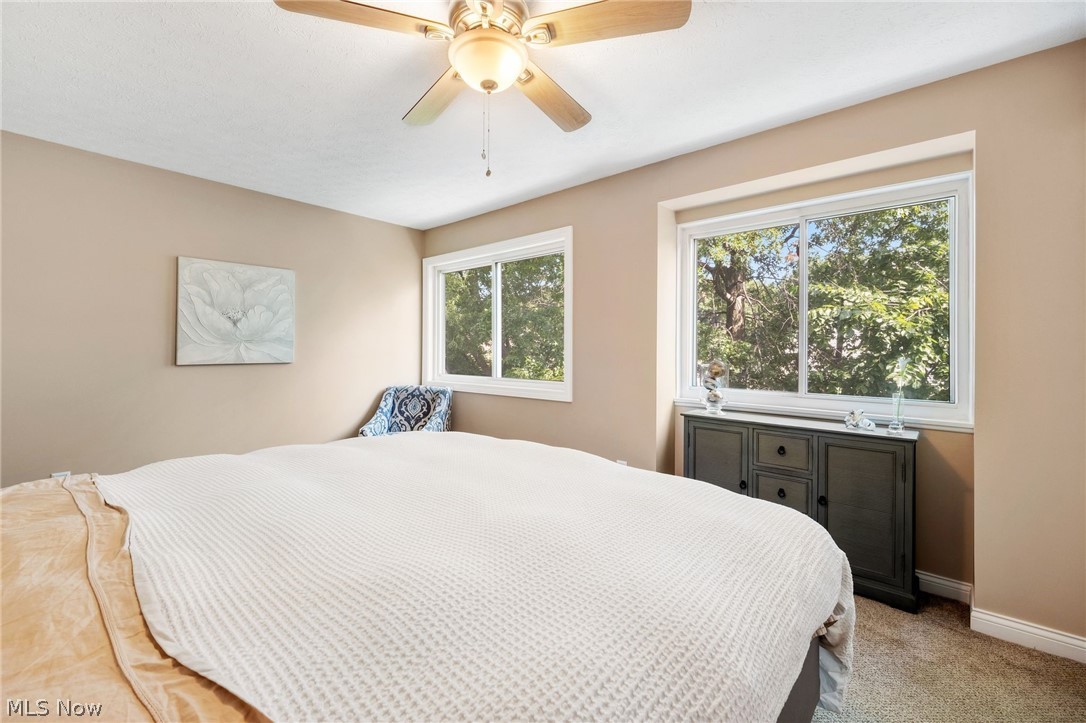 Big Turtle 02 Ph 11-16 - Residential