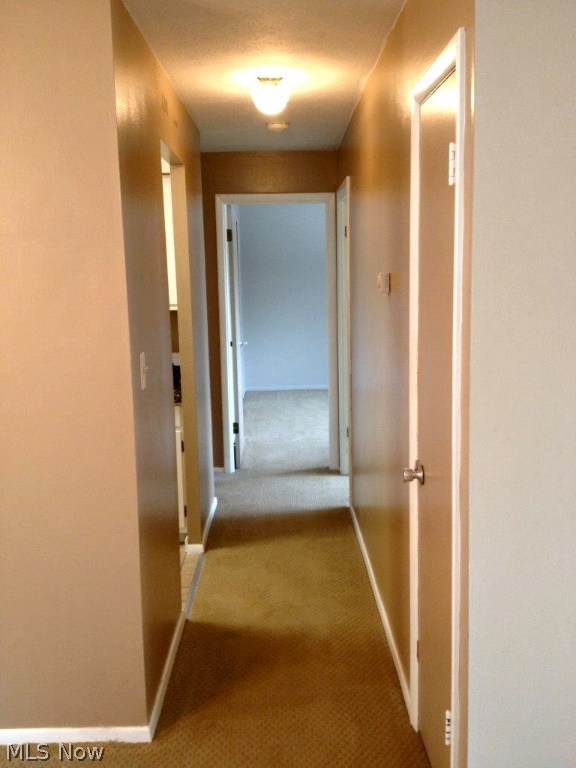 Northwoods Condo - Residential