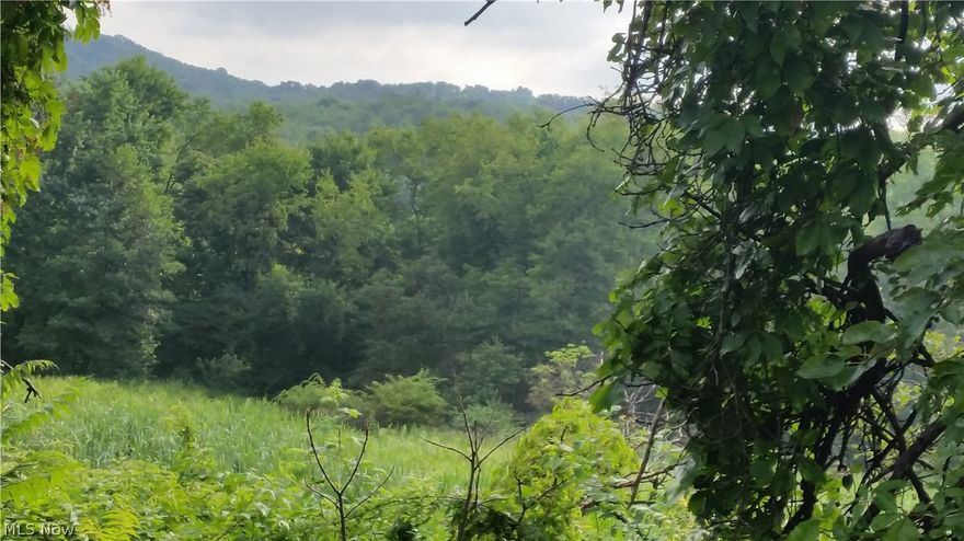 This view could be yours each morning.  Partially wooded lot.  Land only.  All mineral rights stay with property.  Mineral rights have never been sold.  Property was surveyed in 1999 and there are pins marking the boundaries.  Pins cannot be​​‌​​​​‌​‌​​​‌‌​​​‌‌‌​​‌​​‌‌​​​​ seen.