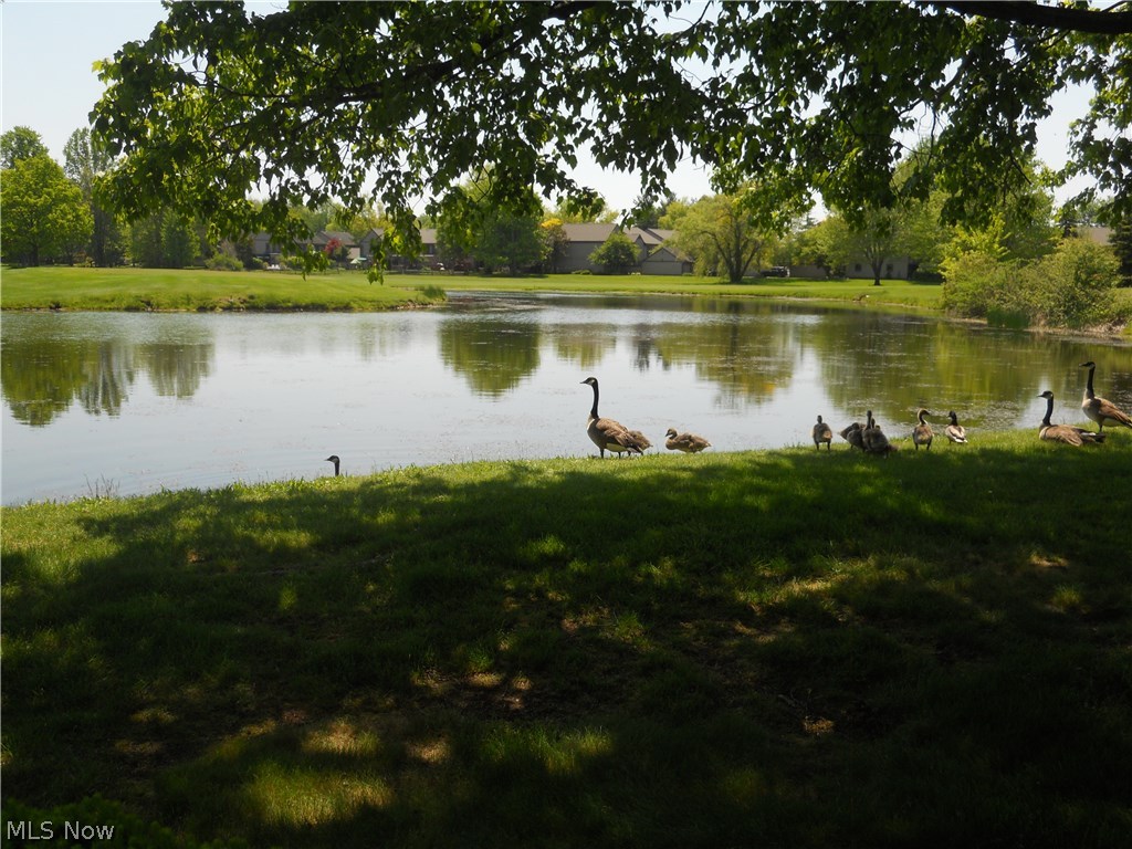 Tanglewood Condo - Residential