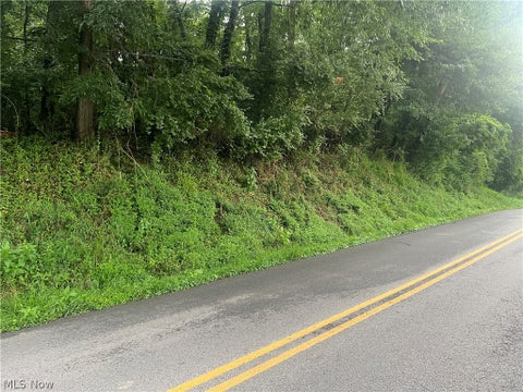 Vacant Land For Sale - Country Club Road<br/> Cadiz, OH 43907