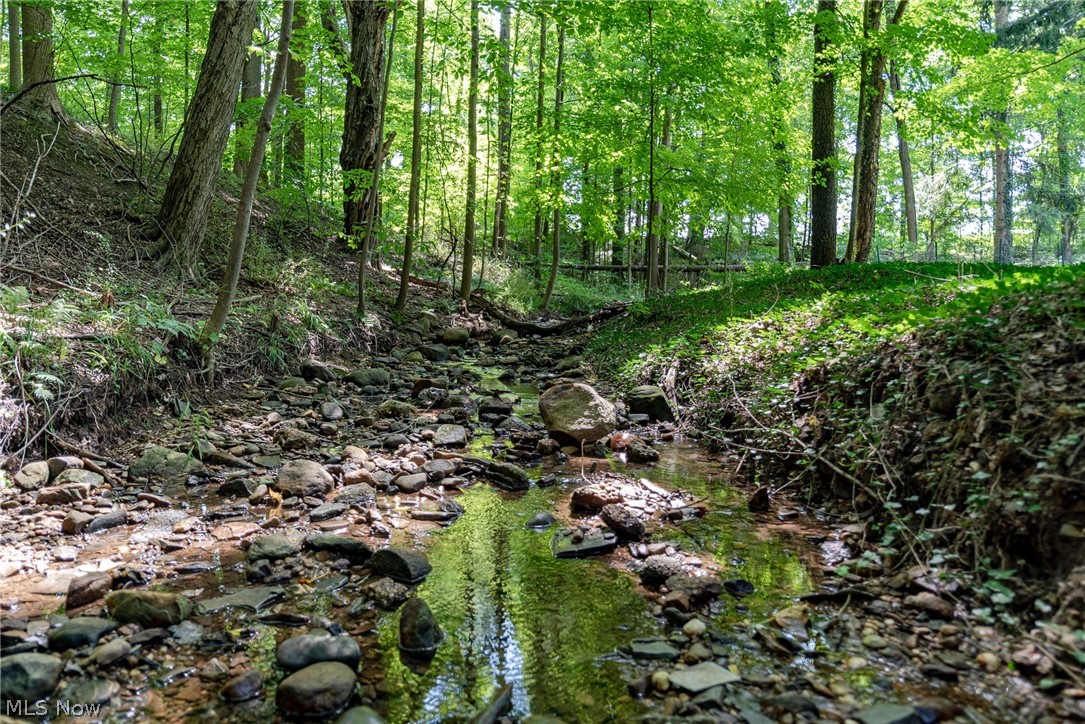 Bainbridge - Residential