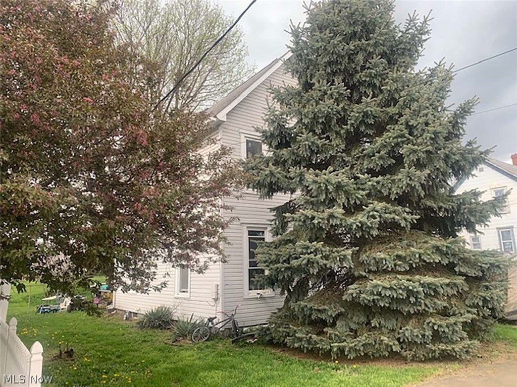 Photo of 207 Thomas Street, Minerva, OH 44657 (MLS # 5205143)