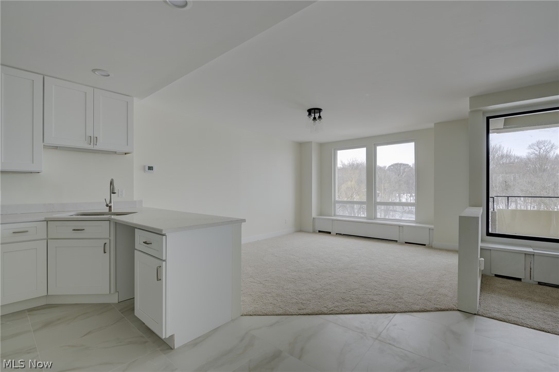 Bratenahl Place Condo - Residential