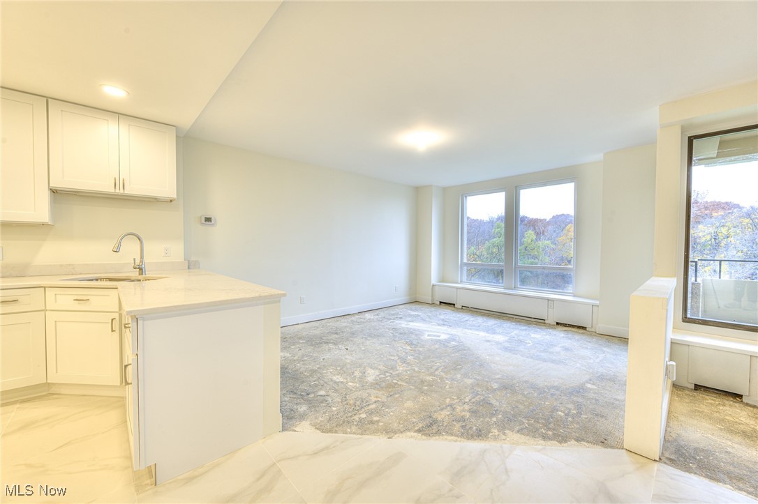 Bratenahl Place Condo - Residential