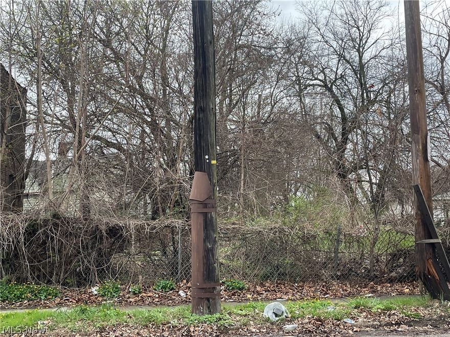 Hough development opportunity! So much is happening in the neighborhood which is adjacent to the Cleveland Clinic and the institutions of University Circle. Be a part of the area's future and join the other developments popping up all over the neighborhood. Lot is zoned Medium Density Apartment.  Lot next door also available, MLS #5030149.