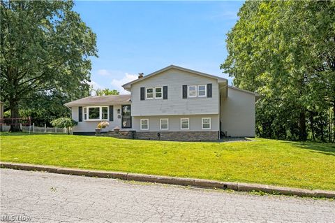 Homes For Sale - 273 Blueberry Drive<br/> Columbiana, OH 44408