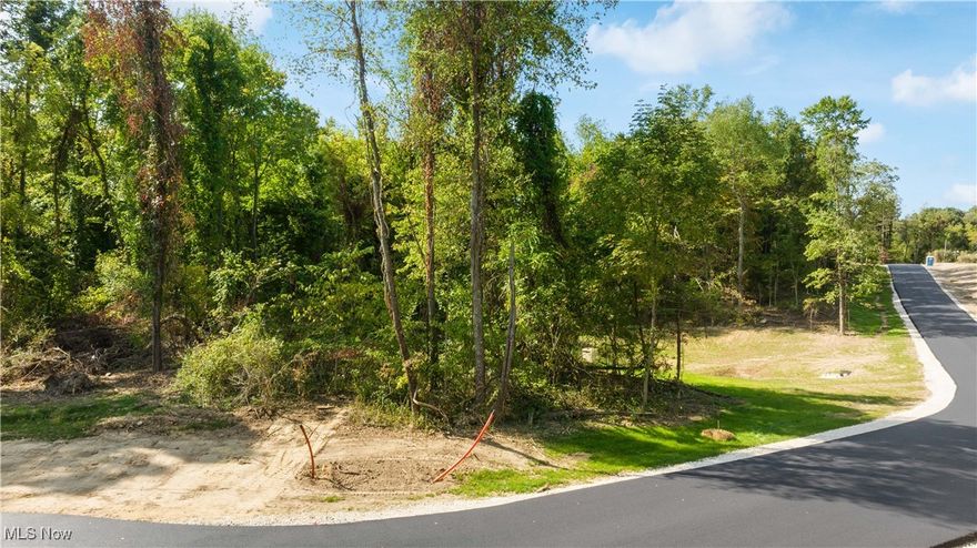 Soaring to new heights in The Heights at Pinecrest! Have you ever dreamed of building a new home? Looking for
that rare opportunity to build your dream home on multiple acres of land? Have Rembrandt Homes award-winning team
design and guide you every step of the way, and make today your “someday”. Rembrandt Homes has been recognized as
4X Builder of the Year by the Home Builders Association. The Heights at Pinecrest is a 30+ acre private, secluded
neighborhood, with 5 homesites. These one-of-a-kind private properties feature a rolling landscape, picturesque views,
and offer different lot sizes all over over 5+ acres! All lots are wooded homesites- able to accommodate a walk-out
design. Well, Septic, and Soil Test approved. Minimum square footage requirement: 2-story-2,800; Ranch-2,400. Come
and build your dream home on this prime vacant land in Green!