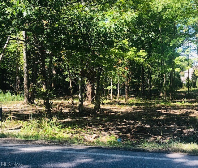 Build your dream home here! Almost a full acre wooded lot in Concord. Riverside Schools and close to shopping, parks and more. Many floor plans to choose from.