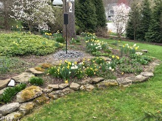 Senlac Hills - Residential