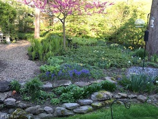 Senlac Hills - Residential