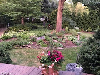 Senlac Hills - Residential