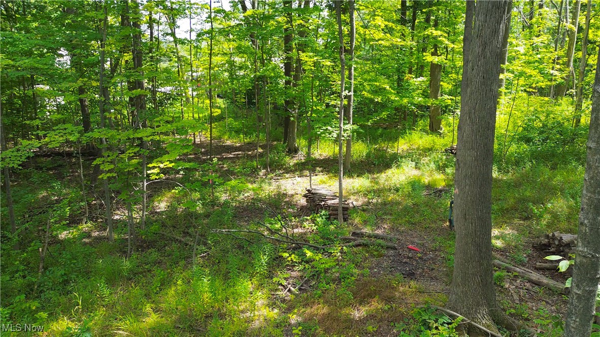 Cinnamon Lake Sub - Land