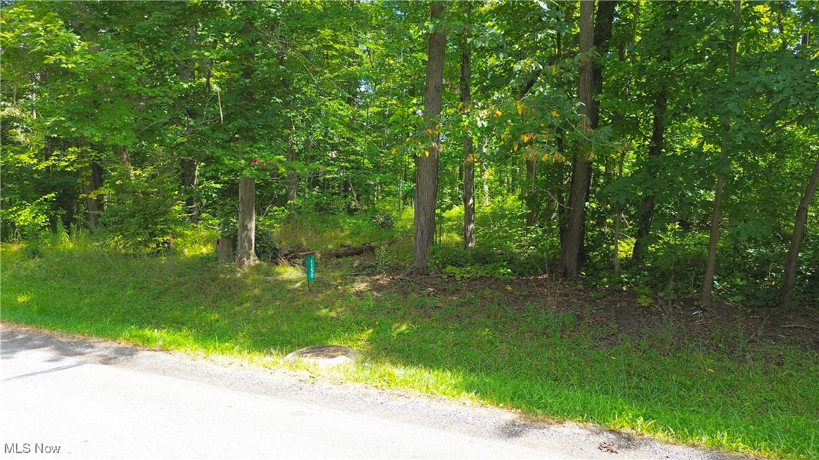 Cinnamon Lake Sub - Land