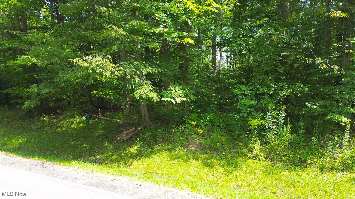 Cinnamon Lake Sub - Land