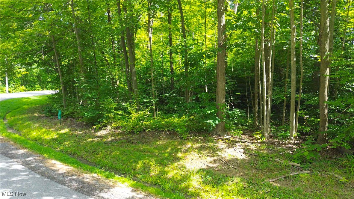 Cinnamon Lake Sub - Land