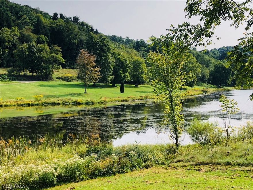 Once in a lifetime deal on 89 +/- acres!  Beautiful landscape with road frontage on both sides of Paradise Lake Rd.  Two stocked lakes! One approximately 7 acres and another approximately 5.  Both conservation approved damn and slipways.  The larger tract has both lakes and is mostly wooded.  A home which is occupied (no access) and will require a little TLC.  Detached 3 stall garage.  Heated foundation ready to build your cabin overlooking the lake.  Additional small buildings/sheds.  Well and septic are currently in use as well as a constant running spring house.  Smaller tract across the road is mostly wooded and has a large barn on it.  Property has been in the family over 60 years.  Will not split.  All mineral rights owned will transfer.