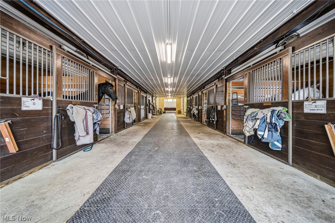 3126 Mennonite Road