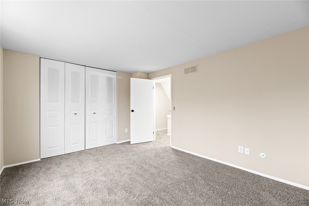 Palmetto Ave - Residential