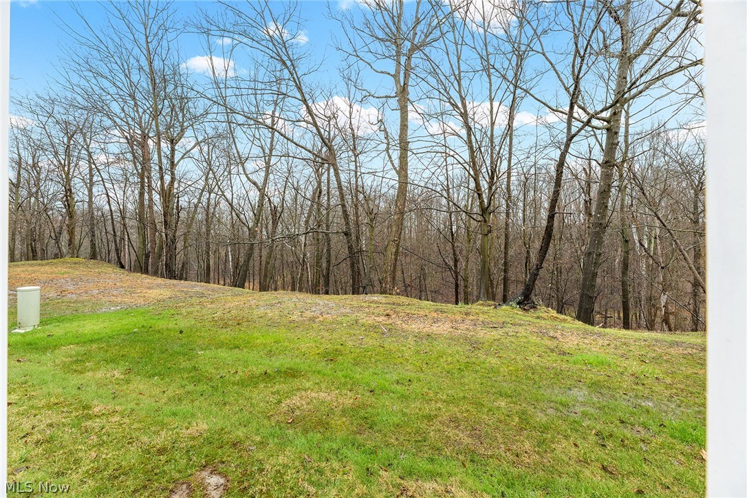 Palmetto Ave - Residential