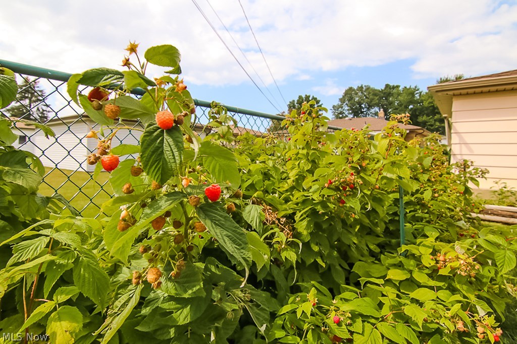 Western Heights - Residential