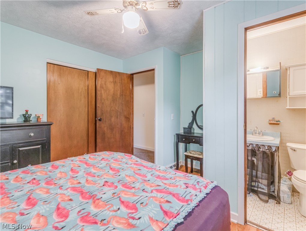 Holly Hills - Residential